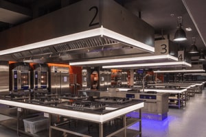 Opening and Closing Activities